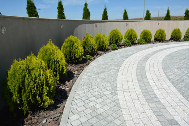 Reasons to Select Us for Your Driveway Paving Requirements in Abilene, TX